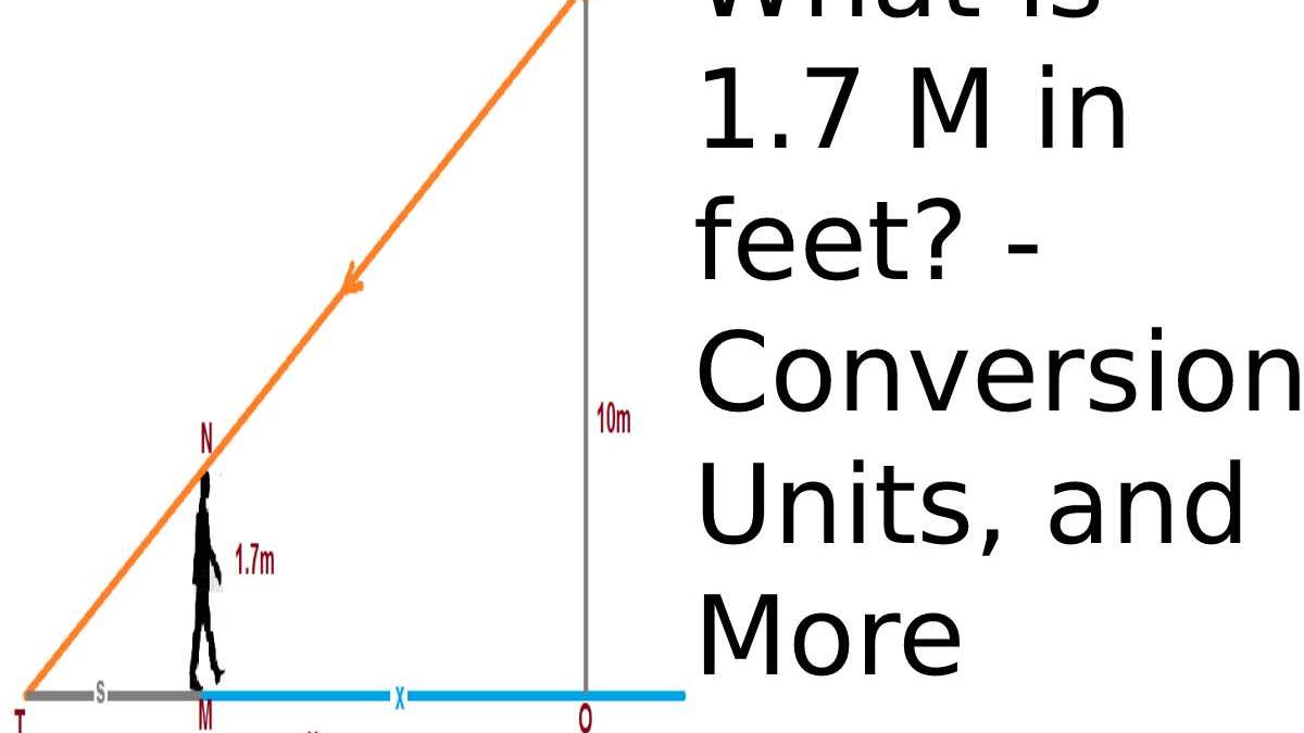 what-is-1-7-meters-in-feet-conversion-units-financial-gig