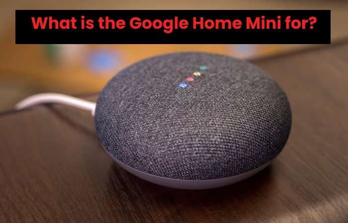 What is the Google Home Mini for?